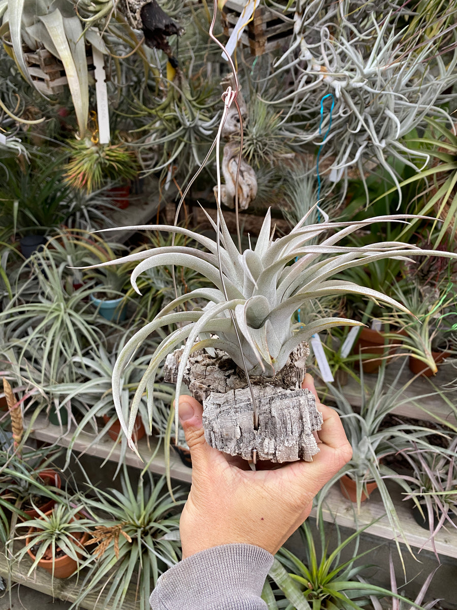 3DC4D805-6826-4183-B912-