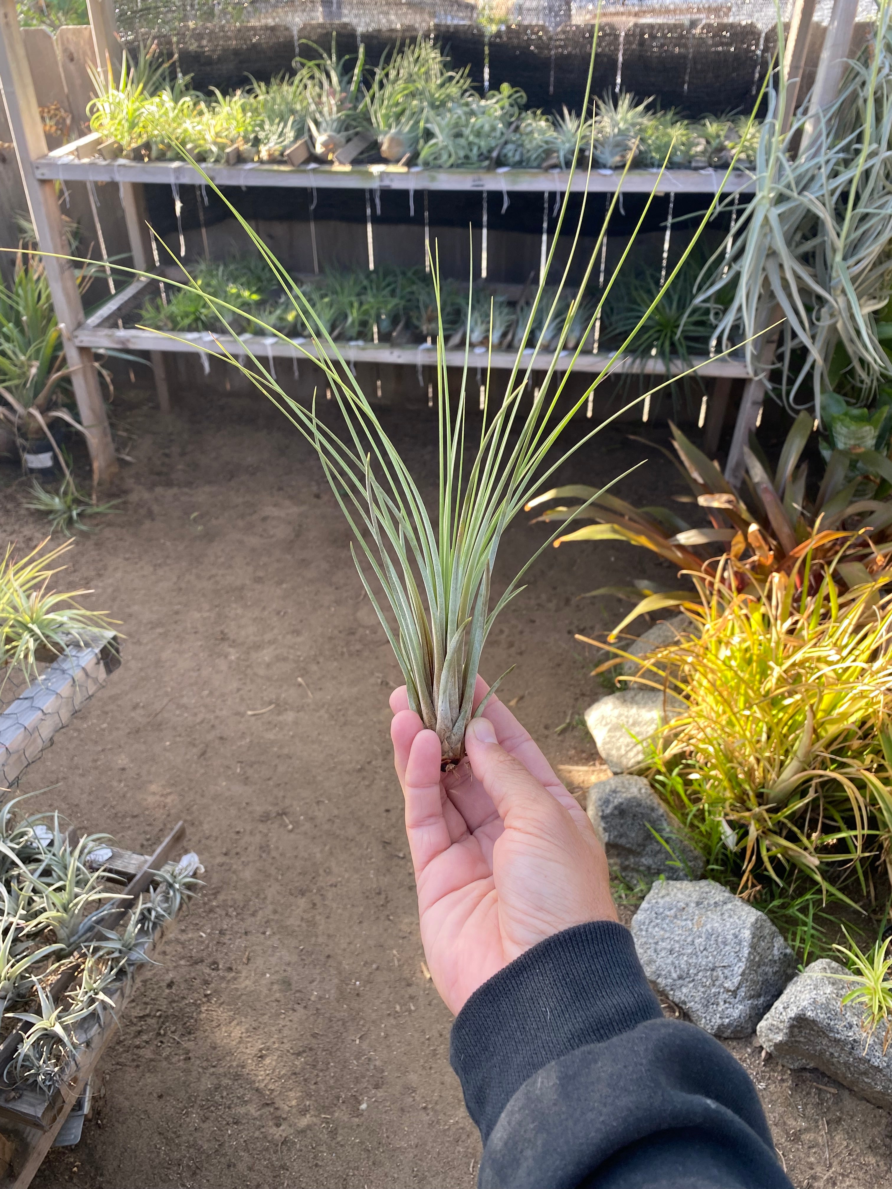 IMG_2147_67907c53-8fb6-4bee-